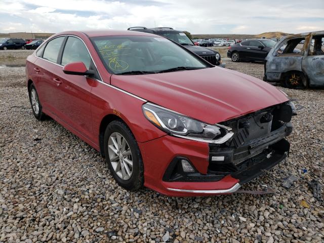 HYUNDAI SONATA SE 2019 5npe24af1kh782678