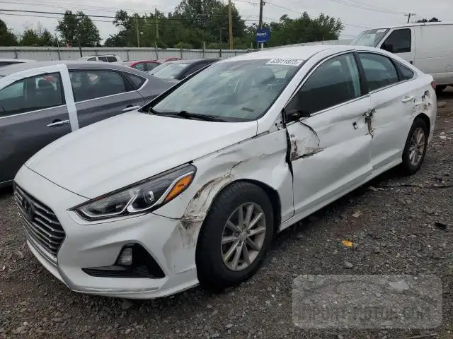 HYUNDAI SONATA 2019 5npe24af1kh783541