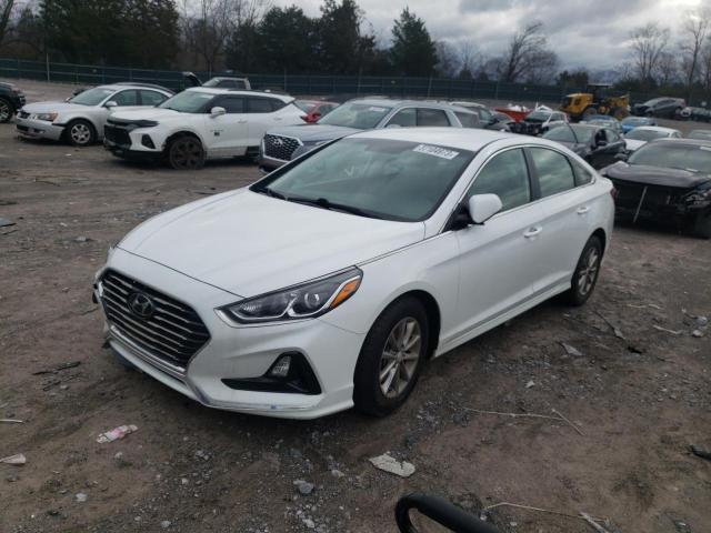 HYUNDAI SONATA SE 2019 5npe24af1kh785449