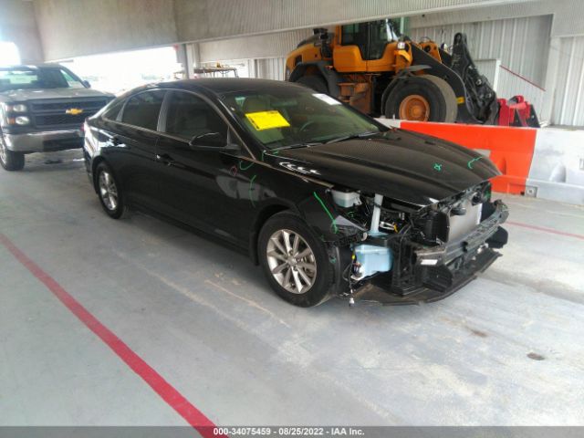 HYUNDAI SONATA 2019 5npe24af1kh786472