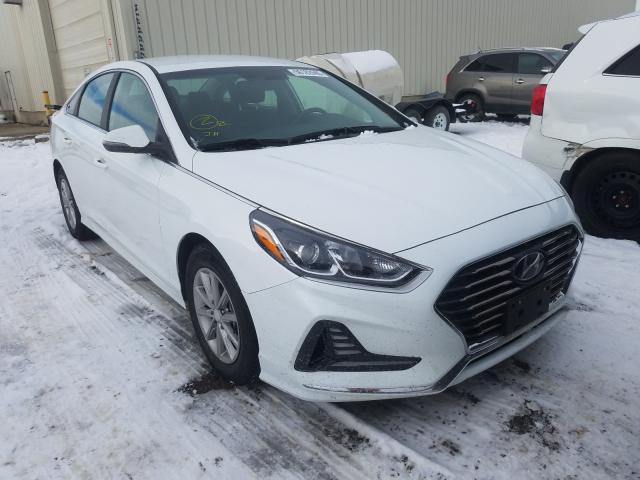 HYUNDAI SONATA SE 2019 5npe24af1kh789565