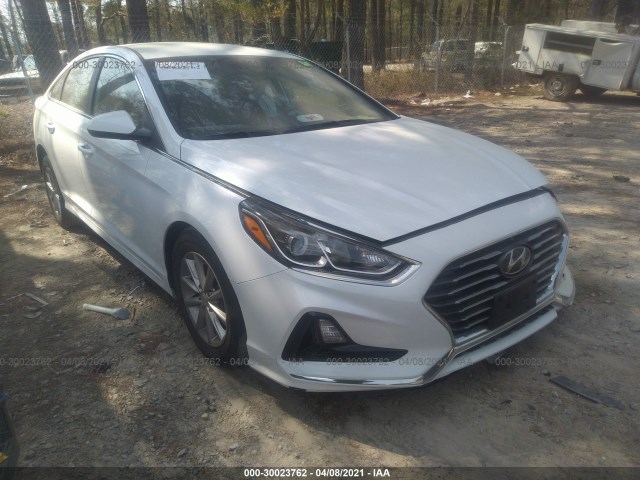 HYUNDAI SONATA 2019 5npe24af1kh790005