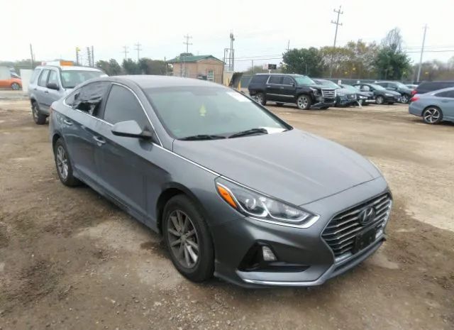 HYUNDAI SONATA 2019 5npe24af1kh791199