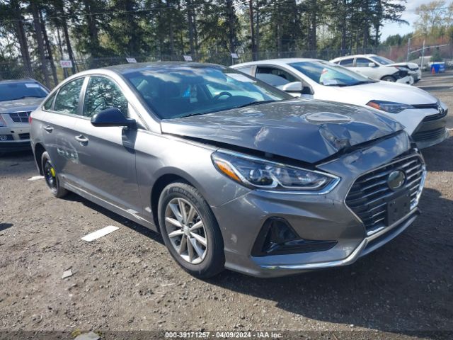 HYUNDAI SONATA 2019 5npe24af1kh792269