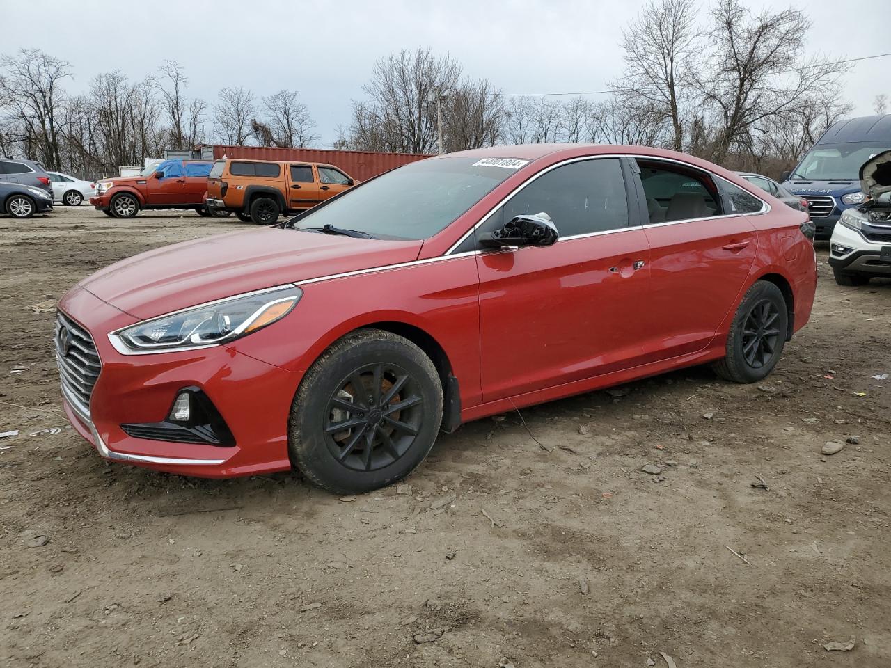 HYUNDAI SONATA 2019 5npe24af1kh794345