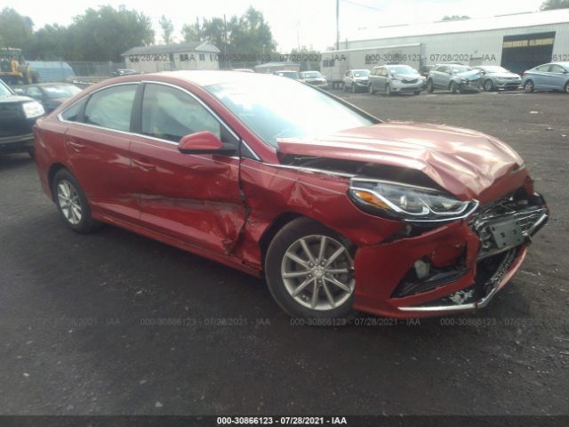 HYUNDAI SONATA 2019 5npe24af1kh794913