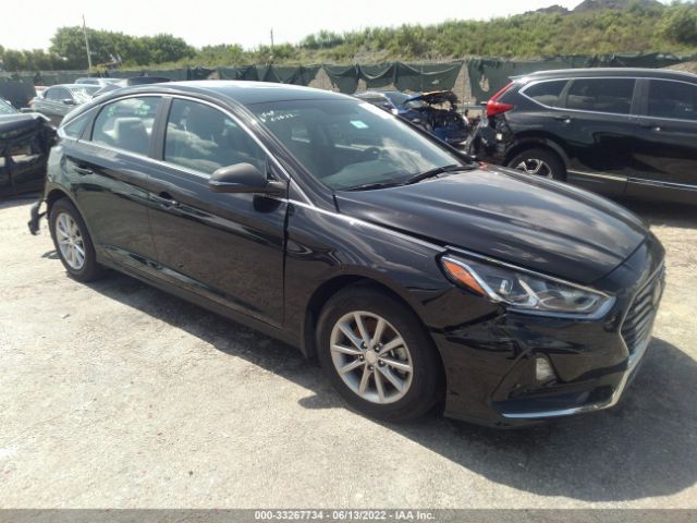 HYUNDAI SONATA 2019 5npe24af1kh797861