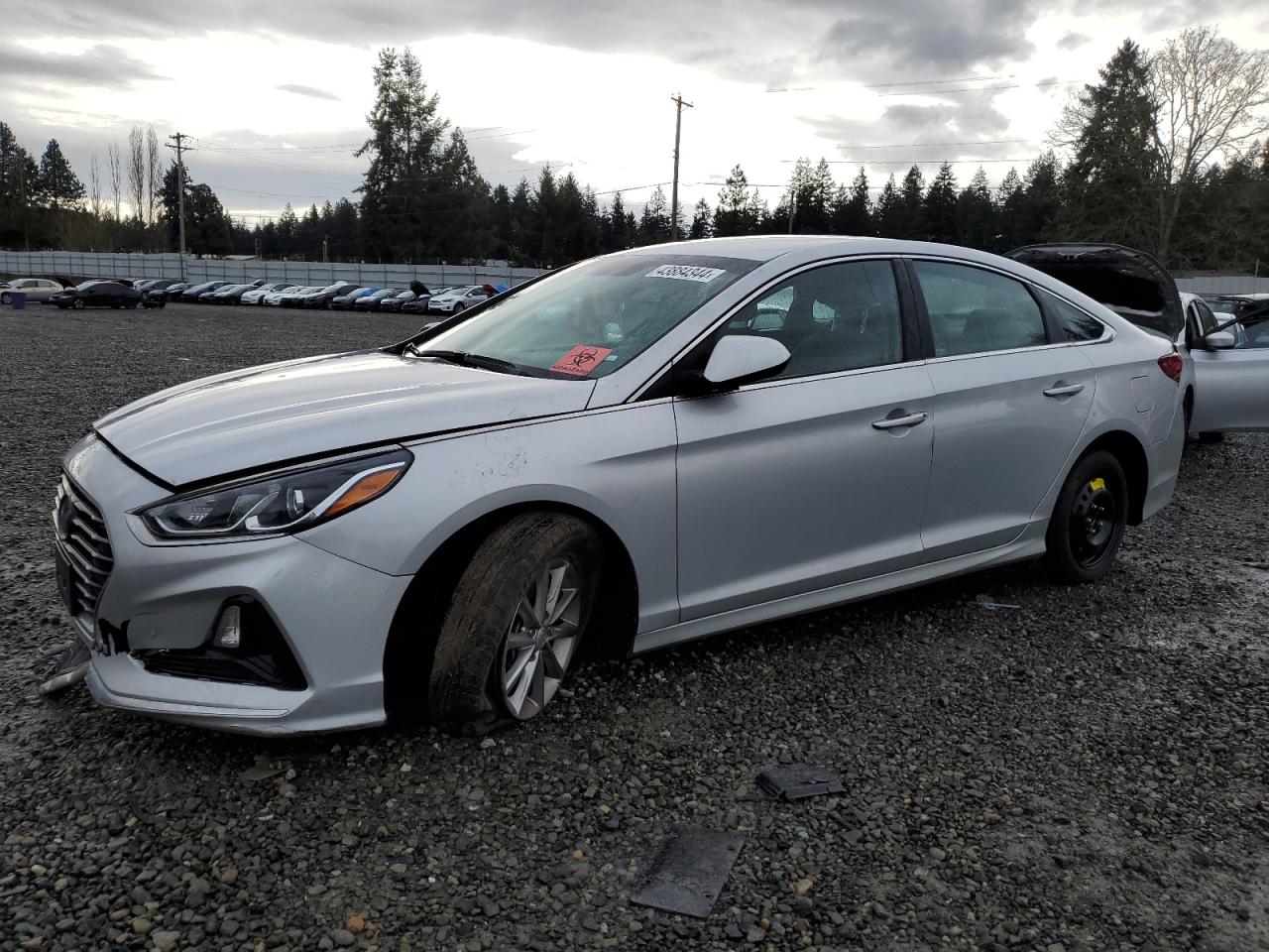 HYUNDAI SONATA 2019 5npe24af1kh798718