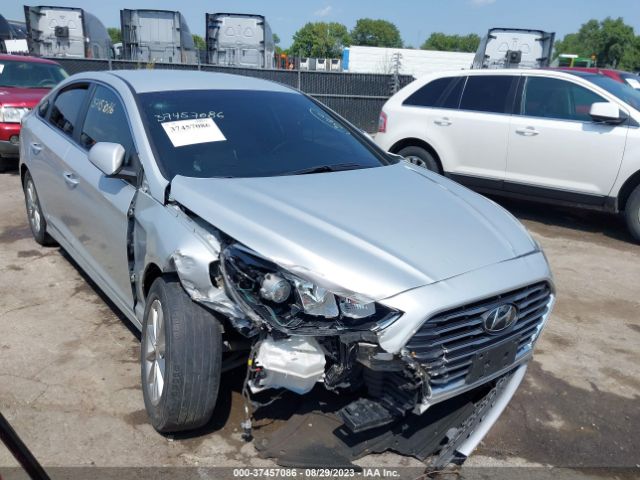 HYUNDAI SONATA 2019 5npe24af1kh799982