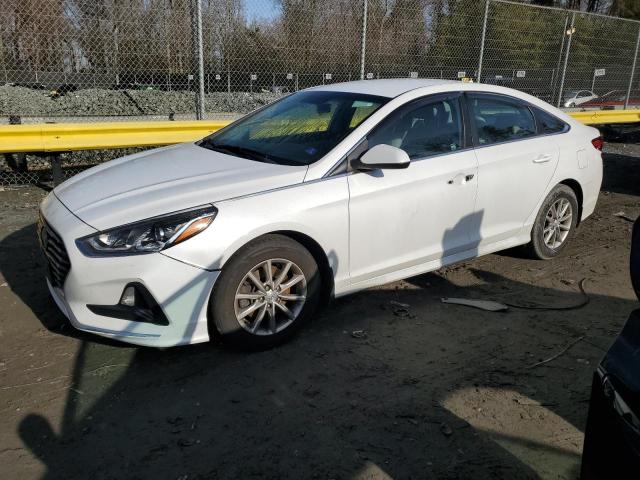 HYUNDAI SONATA 2019 5npe24af1kh800211