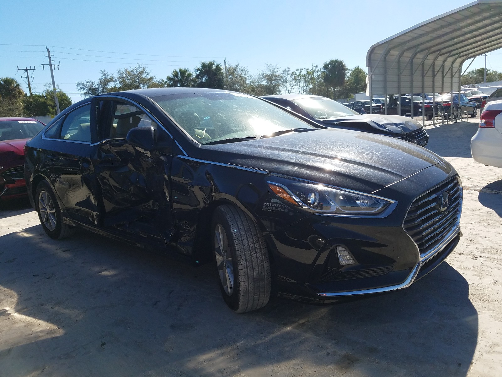 HYUNDAI SONATA SE 2019 5npe24af1kh800466