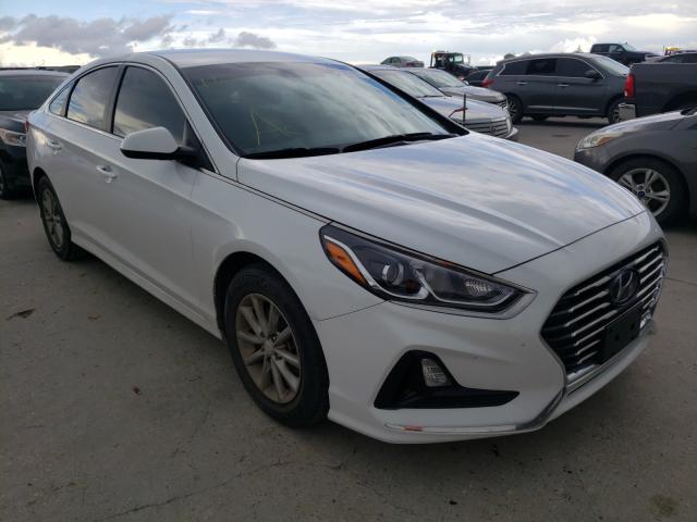 HYUNDAI SONATA SE 2019 5npe24af1kh803173