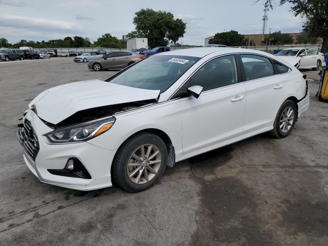 HYUNDAI SONATA 2019 5npe24af1kh803240