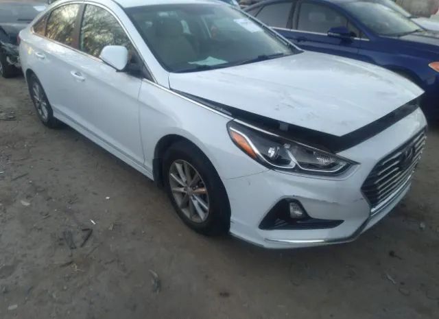 HYUNDAI SONATA 2019 5npe24af1kh806316