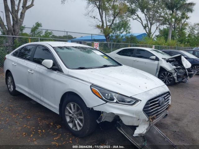 HYUNDAI SONATA 2019 5npe24af1kh808891