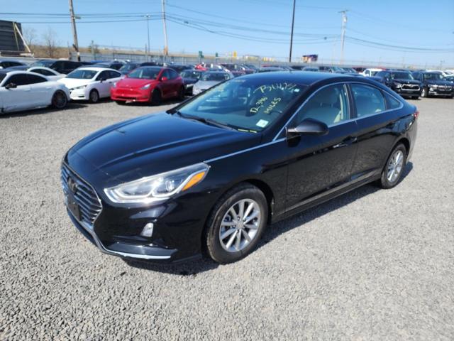 HYUNDAI SONATA SE 2019 5npe24af1kh813864