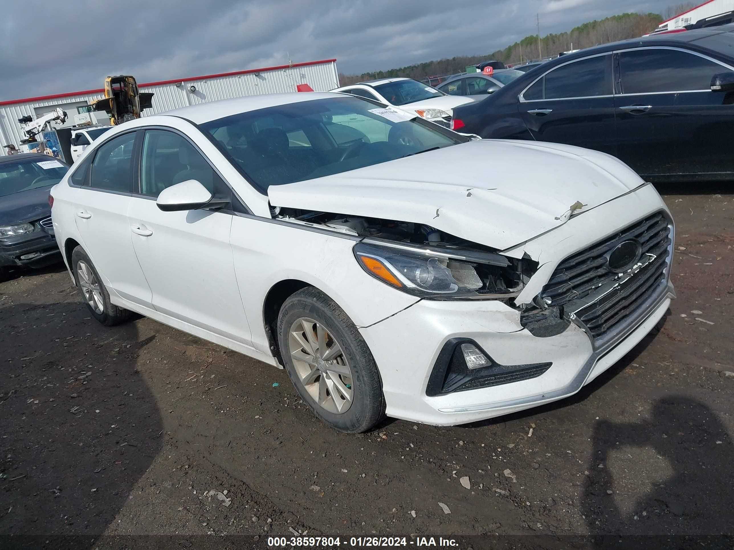 HYUNDAI SONATA 2019 5npe24af1kh815615