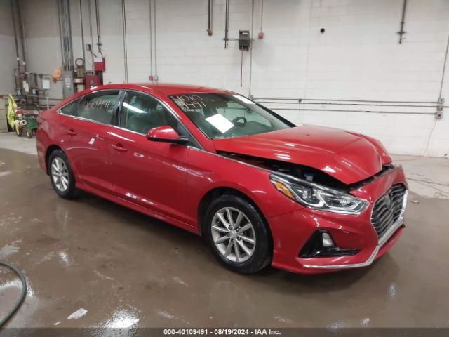 HYUNDAI SONATA 2019 5npe24af1kh817011