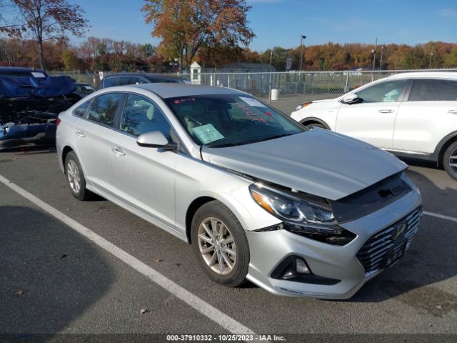 HYUNDAI SONATA 2019 5npe24af1kh817879