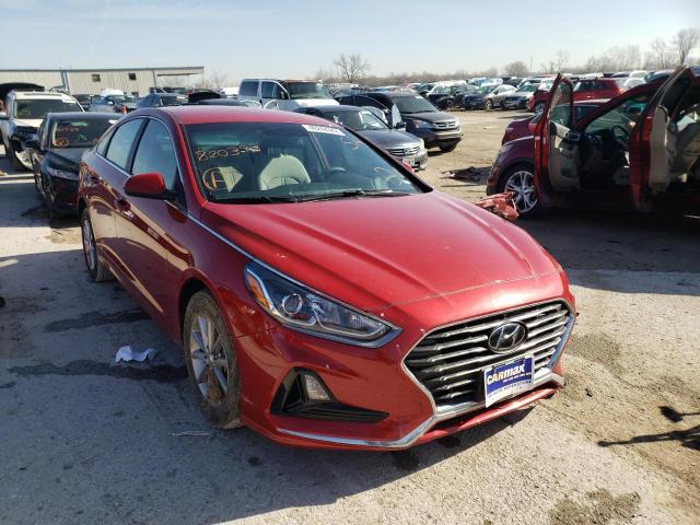 HYUNDAI SONATA SE 2019 5npe24af1kh820393