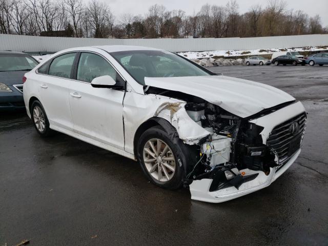 HYUNDAI SONATA SE 2019 5npe24af1kh821897