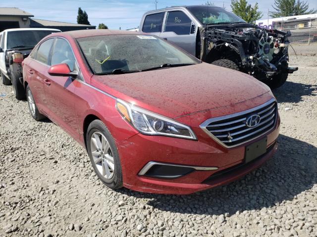 HYUNDAI SONATA SE 2016 5npe24af2ch319729