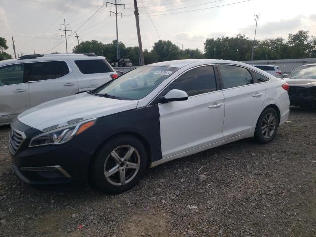 HYUNDAI SONATA 2015 5npe24af2fh009109