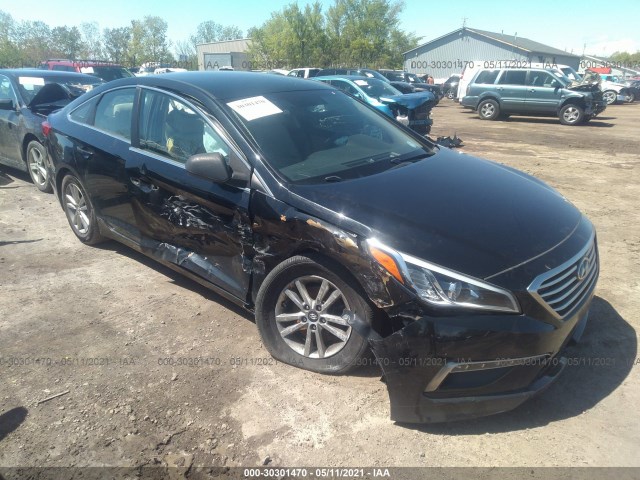 HYUNDAI SONATA 2015 5npe24af2fh010227