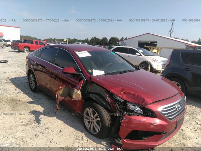 HYUNDAI SONATA 2015 5npe24af2fh014990