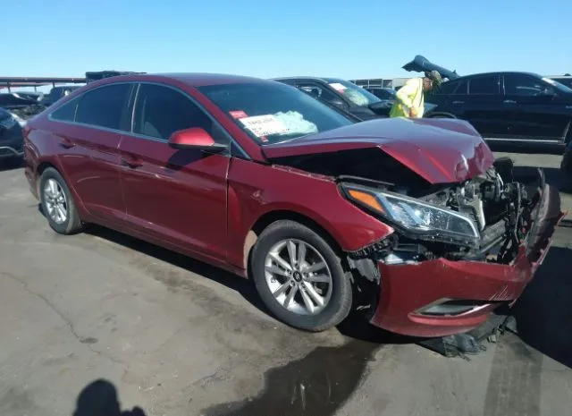 HYUNDAI SONATA 2015 5npe24af2fh018313