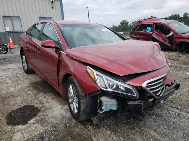 HYUNDAI SONATA SE 2015 5npe24af2fh021132