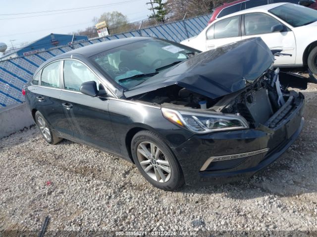 HYUNDAI SONATA 2015 5npe24af2fh021826