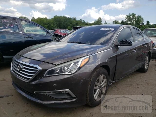 HYUNDAI SONATA 2015 5npe24af2fh023432