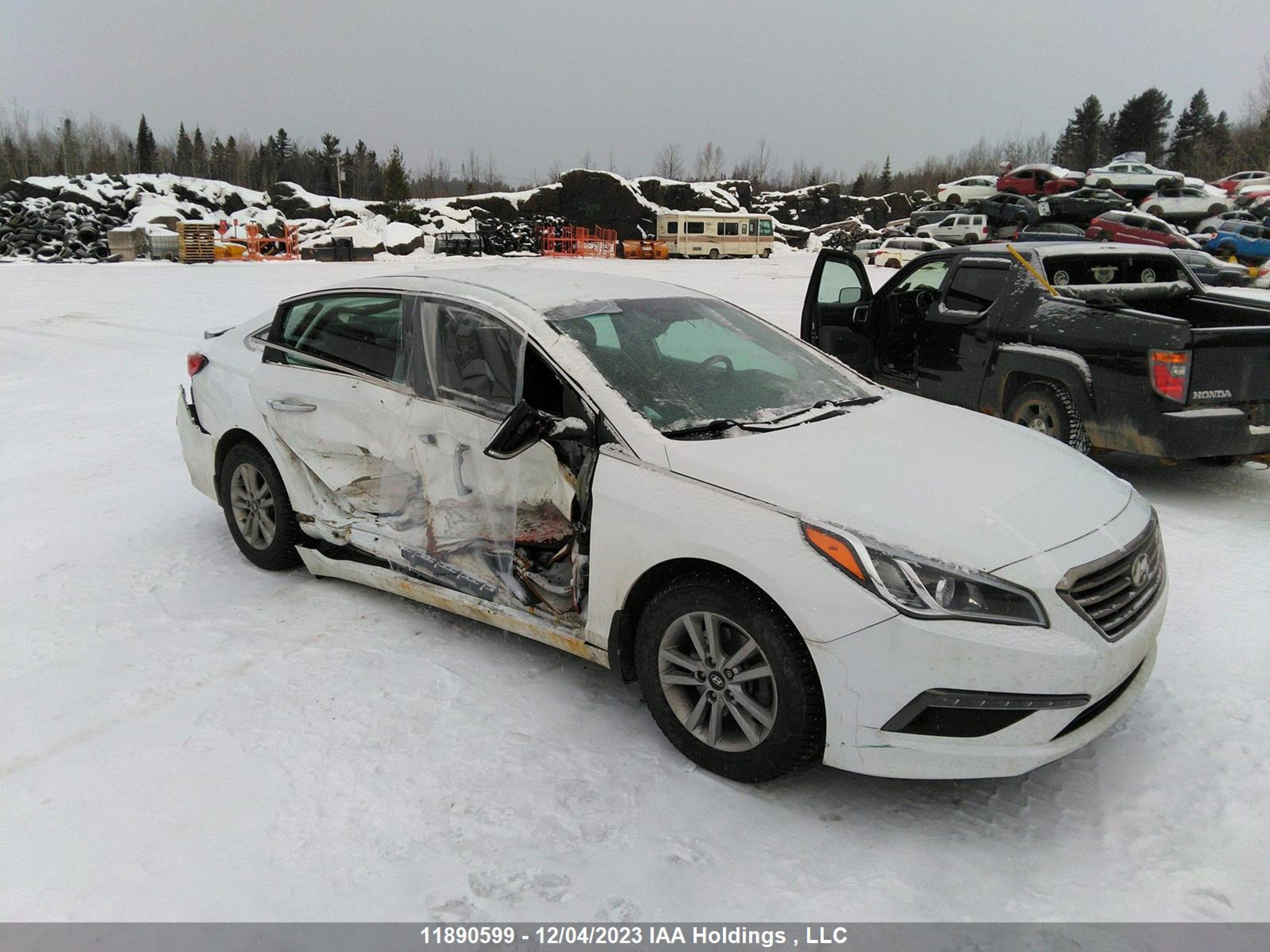 HYUNDAI SONATA 2015 5npe24af2fh023592