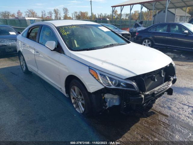 HYUNDAI SONATA 2015 5npe24af2fh026525