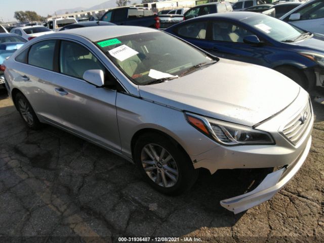 HYUNDAI SONATA 2015 5npe24af2fh048783