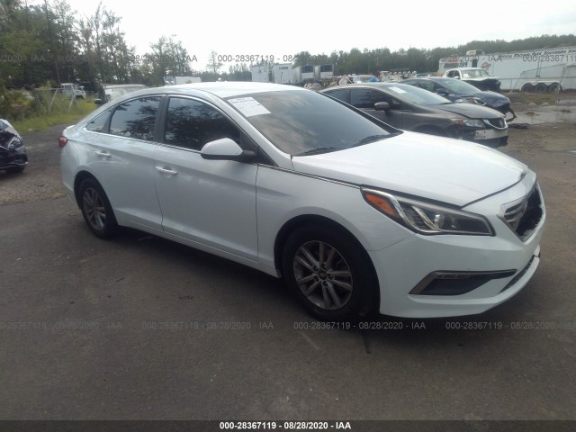 HYUNDAI SONATA 2015 5npe24af2fh126706