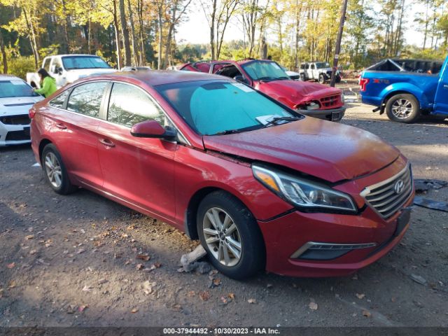 HYUNDAI SONATA 2015 5npe24af2fh146356