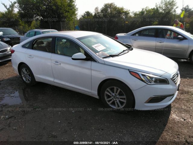 HYUNDAI SONATA 2015 5npe24af2fh169331