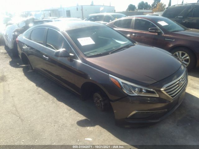 HYUNDAI SONATA 2015 5npe24af2fh176005