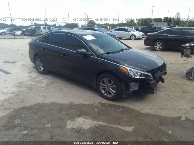 HYUNDAI SONATA 2015 5npe24af2fh181737