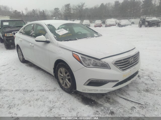 HYUNDAI SONATA 2015 5npe24af2fh184914