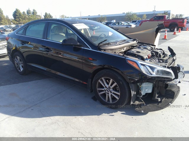 HYUNDAI SONATA 2015 5npe24af2fh185643