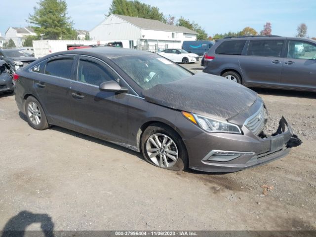 HYUNDAI SONATA 2015 5npe24af2fh188994