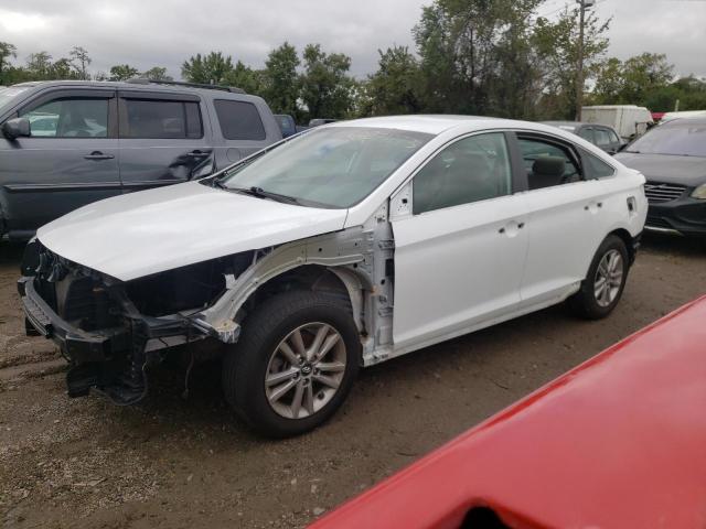 HYUNDAI SONATA SE 2015 5npe24af2fh205728