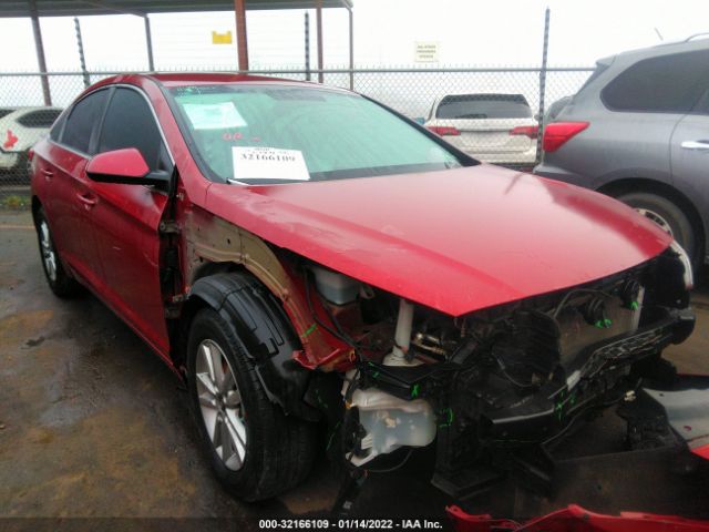 HYUNDAI SONATA 2015 5npe24af2fh220522