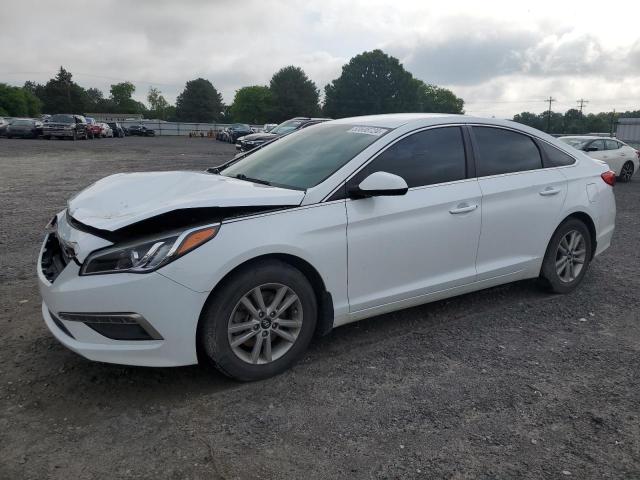 HYUNDAI SONATA 2015 5npe24af2fh224280