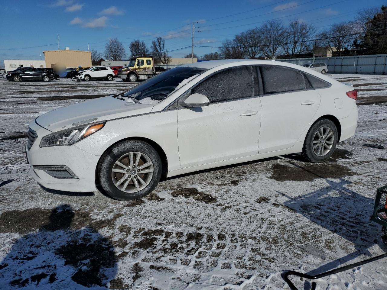 HYUNDAI SONATA 2015 5npe24af2fh226482