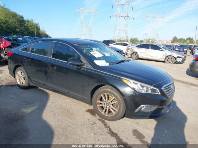 HYUNDAI SONATA 2015 5npe24af2fh228541