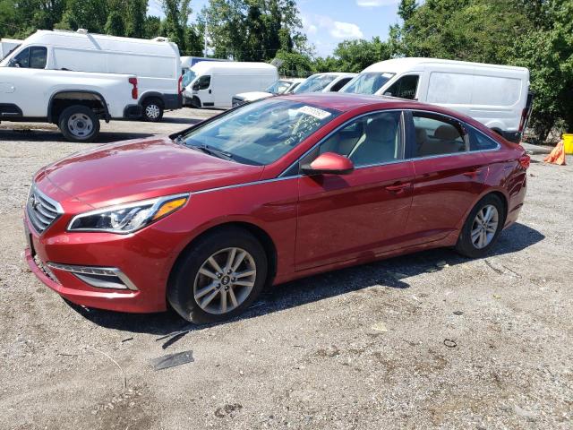 HYUNDAI SONATA SE 2015 5npe24af2fh228586